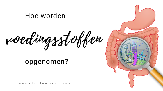 voedingsstoffen